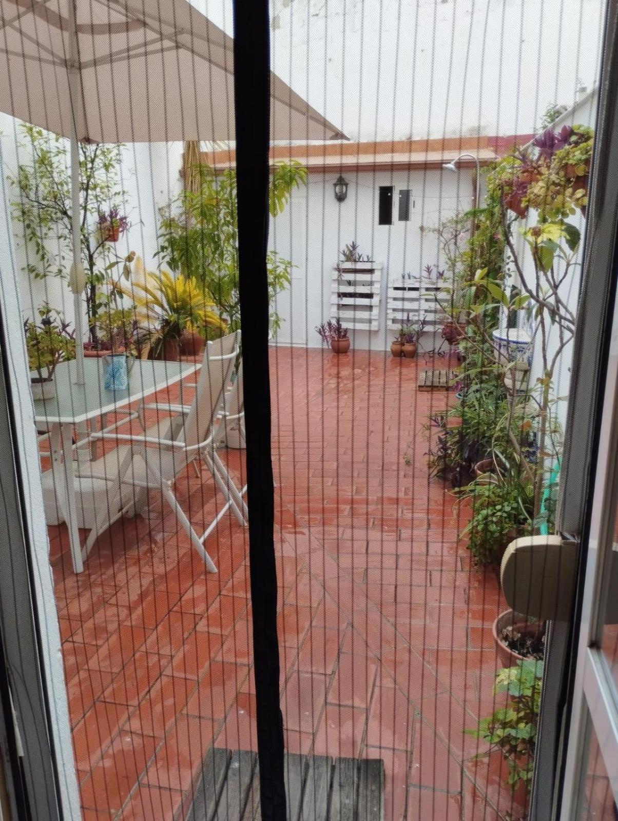 Patios Con Encanto Córdoba Exteriör bild
